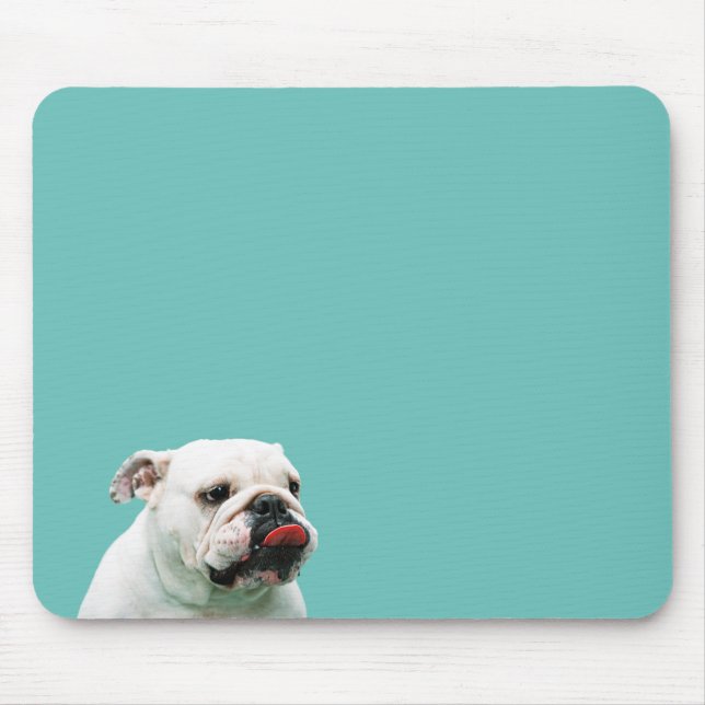 Cute hund white Bulldog Musmatta (Framsidan)