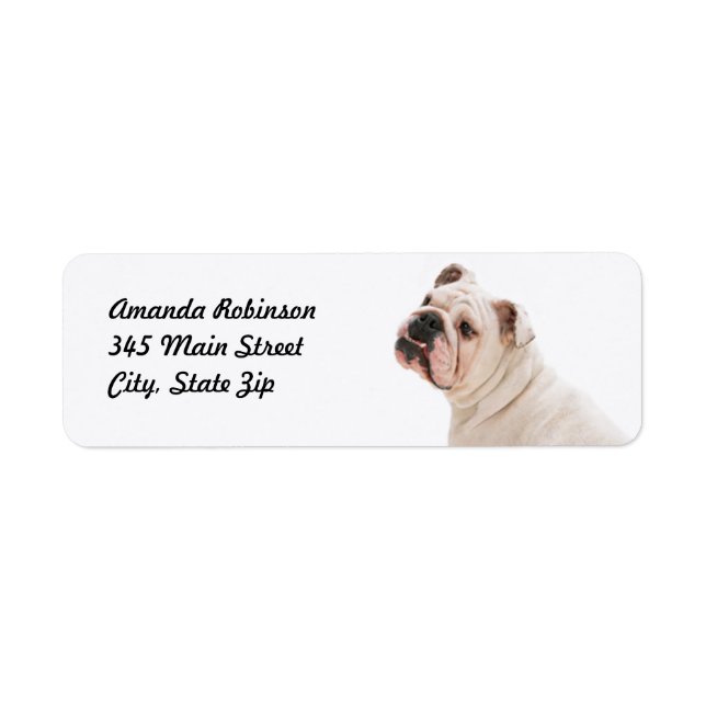 Cute hund white bulldog returadress etikett (Framsidan)