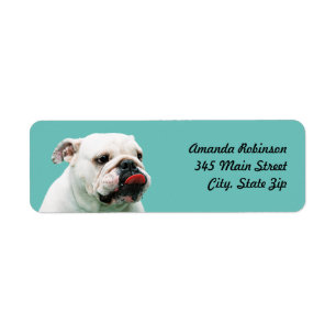 Cute hund white Bulldog Returadress Etikett