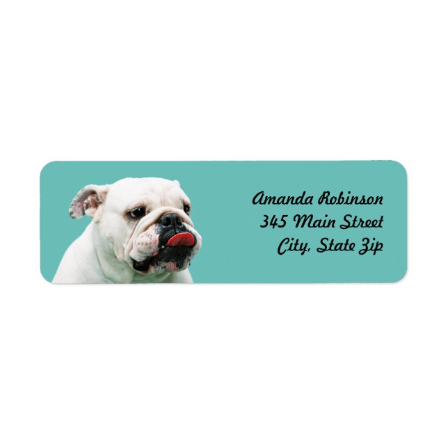 Cute hund white Bulldog Returadress Etikett (Framsidan)