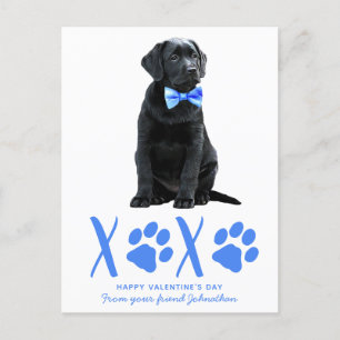 Cute Hund XOXO Kids Puppy Valentines day Helg Vykort