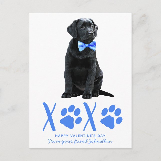 Cute Hund XOXO Kids Puppy Valentines day Helg Vykort (Framsida)