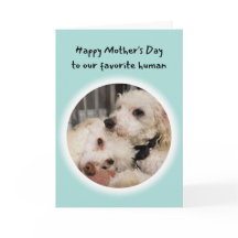 Cute Hundar Du är min favoritmänniska Mors dag