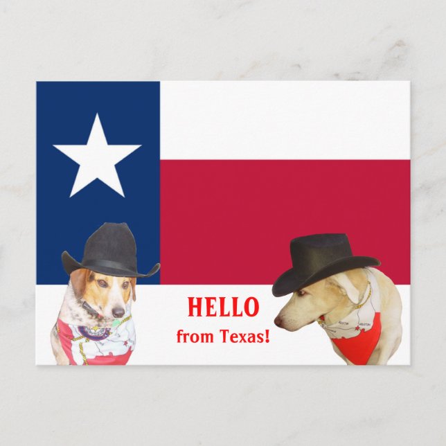 Cute Hundar Hej från Texas! Vykort (Framsida)