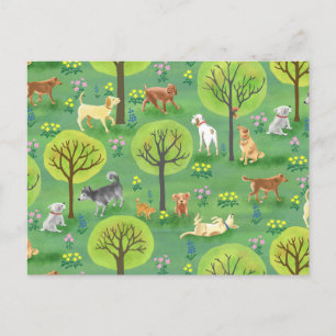Cute Hundar i Hund Park Postcard Vykort
