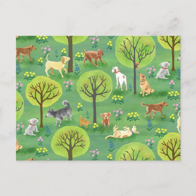 Cute Hundar i Hund Park Postcard Vykort (Framsida)