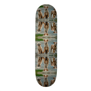 Cute Hundar Mini Skateboard Bräda 18,5 Cm
