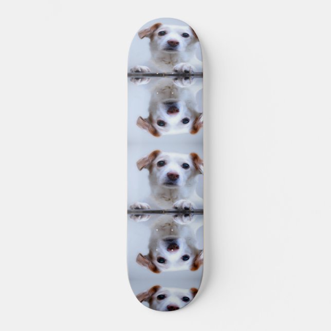 Cute Hundar Mini Skateboard Bräda 18,5 Cm (Framsida)