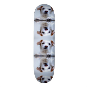 Cute Hundar Mini Skateboard Bräda 18,5 Cm