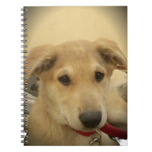 Cute Hundar och valpar är andra bästa vän.png Anteckningsbok