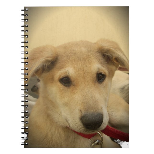 Cute Hundar och valpar är andra bästa vän.png Anteckningsbok (Framsidan)