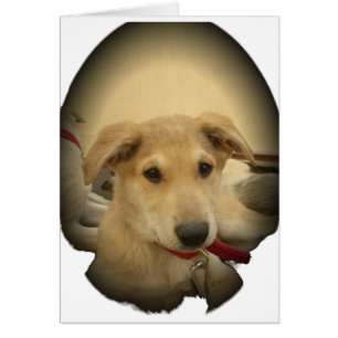 Cute Hundar och valpar är andra bästa vän.png Hälsningskort