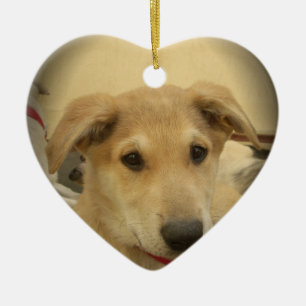 Cute Hundar och valpar är andra bästa vän.png Julgransprydnad Keramik