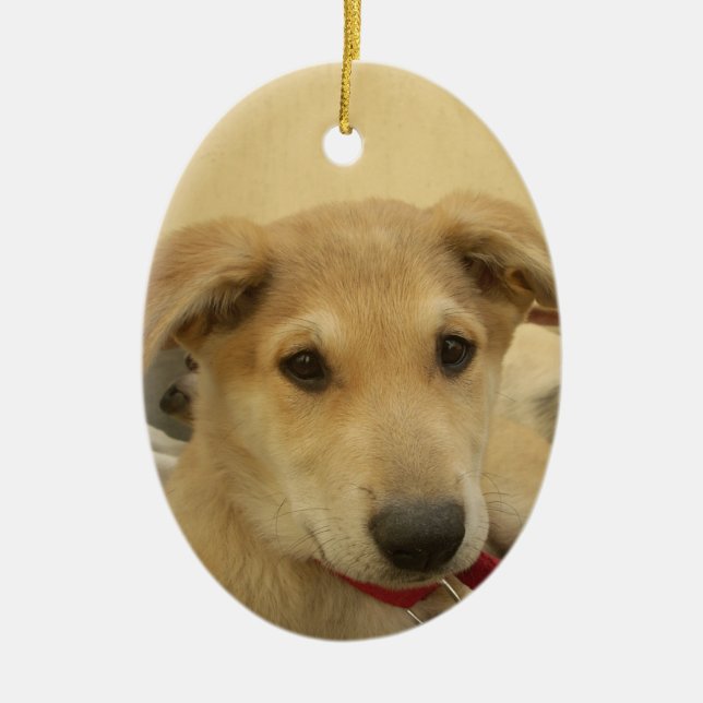 Cute Hundar och valpar är andra bästa vän.png Julgransprydnad Keramik (Framsidan)