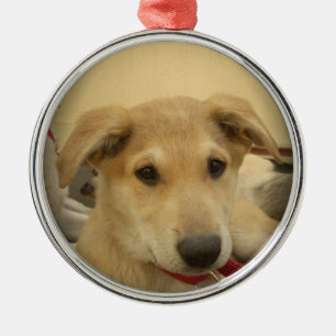 Cute Hundar och valpar är andra bästa vän.png Julgransprydnad Metall