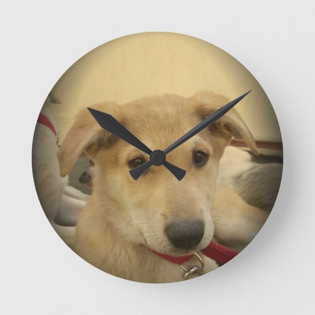 Cute Hundar och valpar är andra bästa vän.png Rund Klocka (Framsida)
