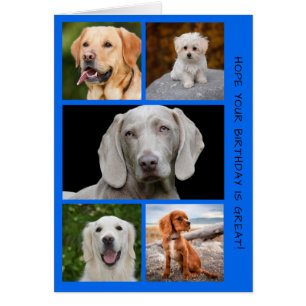 Cute Hundar Photo Birthday Collage OBS Kort