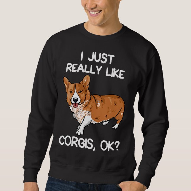 Cute I Just Really Like Corgis Dog Owner Lång Ärmad Tröja (Framsida)