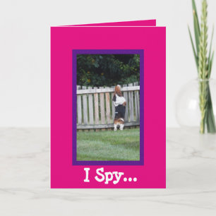 Cute "I Spy"-födelsedagskort med Basset Hound Kort