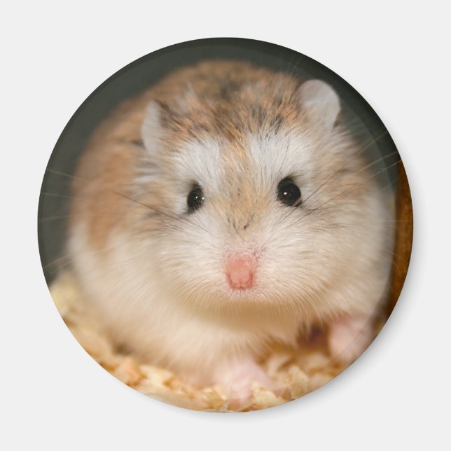 Cute Ickle Magnet (Framsidan)