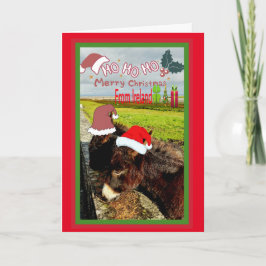 Cute Irish Santa Donkey-julkort Helgkort