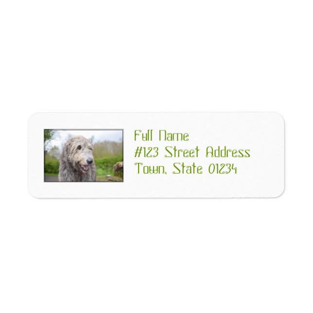 Cute Irish Wolfhound Returadress Etikett (Framsidan)