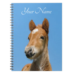 Cute Islands Horse Foal Pony Head Front - Namn - Anteckningsbok