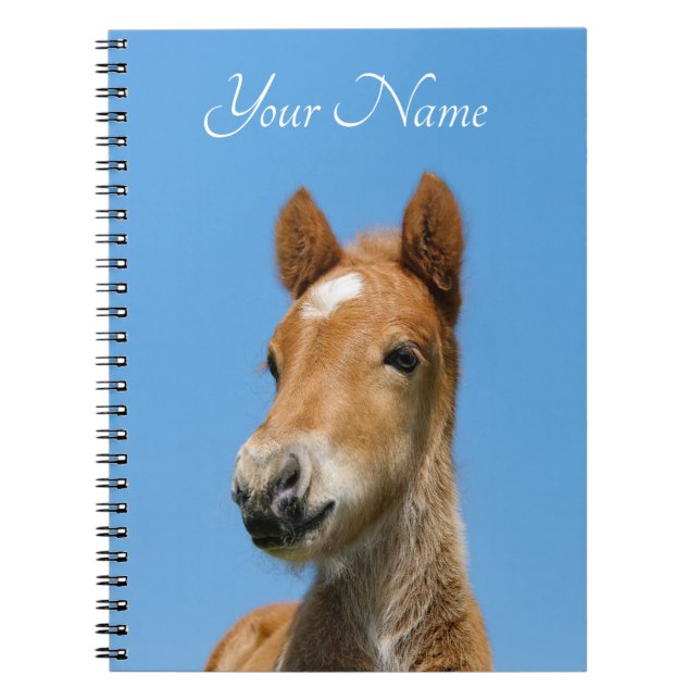 Cute Islands Horse Foal Pony Head Front - Namn - Anteckningsbok (Framsidan)