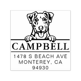 Cute Jack Russel Anpassningsbar Hund Adress Frimär Självfärgande Stämpel