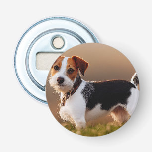 Cute Jack Russel Terrier-Hund-fotografi Flasköppnare