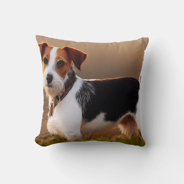Cute Jack Russel Terrier-Hund-fotografi Kudde (Framsida)