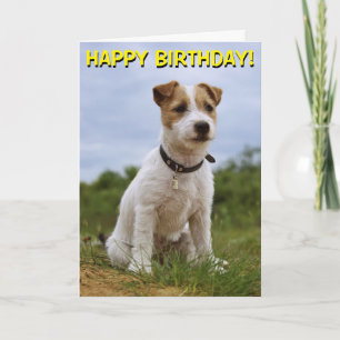 Cute Jack Russell-födelsedagskort Kort