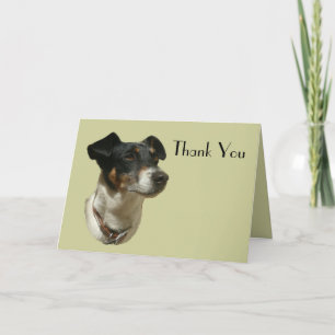 Cute Jack Russell Hund Tack Kort