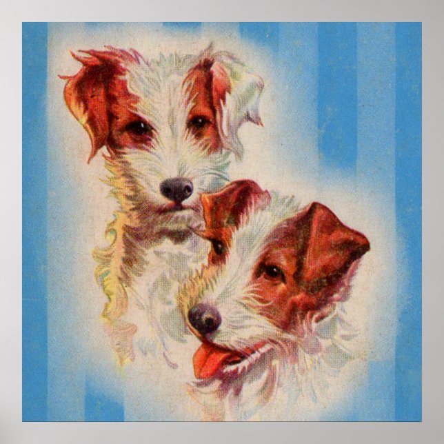 CUTE Jack Russell poster (Framsidan)
