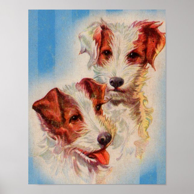 CUTE Jack Russell skräckers Poster (Framsidan)