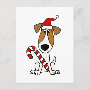 Cute Jack Russell Terrier i jultomten Vykort