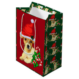 Cute Jack Russell Terrier-jul
