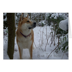 Cute japanese akita hund i snö vid christmas OBS kort