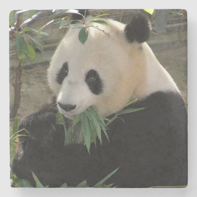 Cute jätte panda underlägg sten (Framsidan)