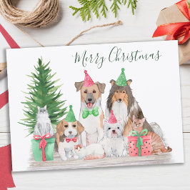 Cute Jul Animals Hund Cat Puppy Kitten Julkort
