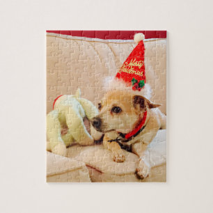Cute jul Chihuahua Santa Hund 4Sadie Pussel
