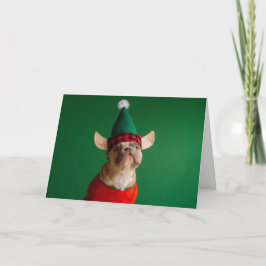 Cute Jul Fransk Bulldog Elf Helgkort