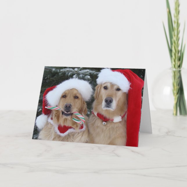 Cute jul Golden Retrievers Helgkort (Framsida)