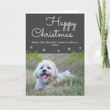 Cute jul Gräs Grenar Snowflake Hund Photo