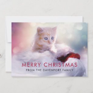 Cute Jul Kitten Festive Helgdag Tack Kort