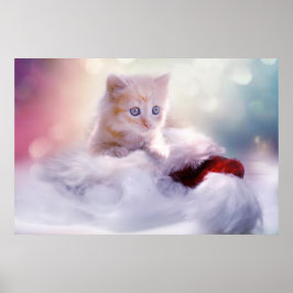 Cute Jul Kitten Photograph Poster