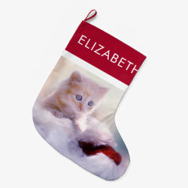 Cute Jul Kitten Photograph Stor Julstrumpa