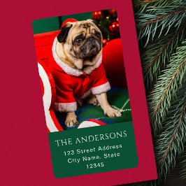 Cute jul Peppy Hund Pet Photo Älskare Red Grönt Fraktsedel