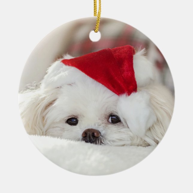 Cute jul White Maltese Puppy Hund Julgransprydnad Keramik (Framsidan)