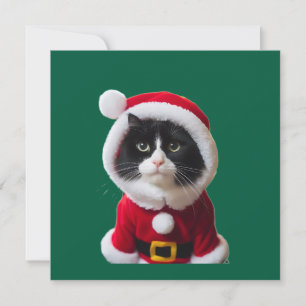 Cute-julkatt Inbjudningar